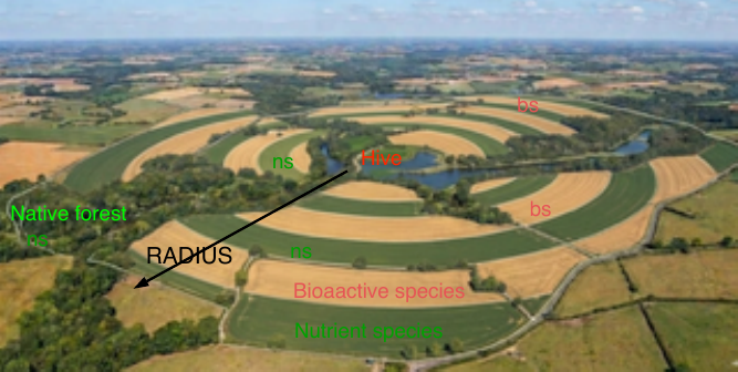 Aerial rendering of a ringed, radius-bound planting layout of the kind described in Section 2.3 and Section 4. The hive sits at the centre; concentric bands of bioactive species (bs) and nutrient species (ns) alternate outward toward the surrounding native forest, with the labelled radius marking the foraging boundary of a single tiled hive complex within the larger open-air permaculture.